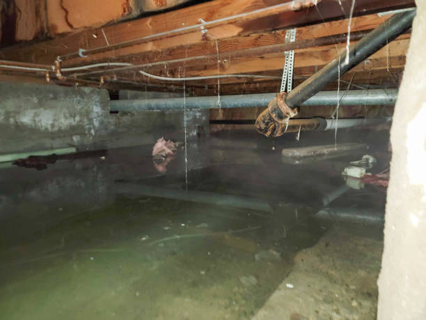 Best Fire Damage Restoration  in Livingston, CA