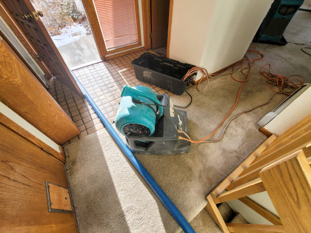 Best Sewage cleanup and water damage restoration  in Livingston, CA