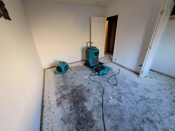 Best Flooded house restoration  in Livingston, CA