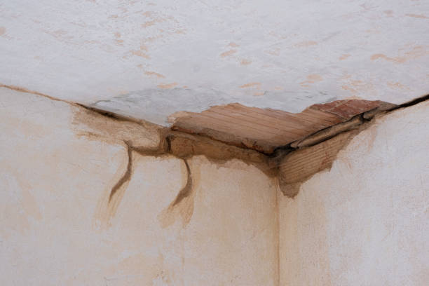 Best Professional water damage repair  in Livingston, CA