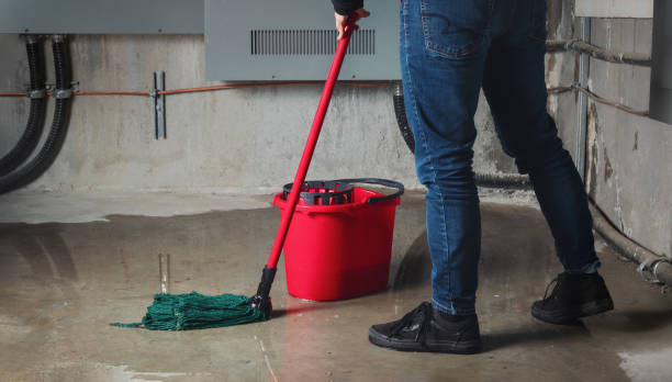 Best Flood damage cleanup  in Livingston, CA