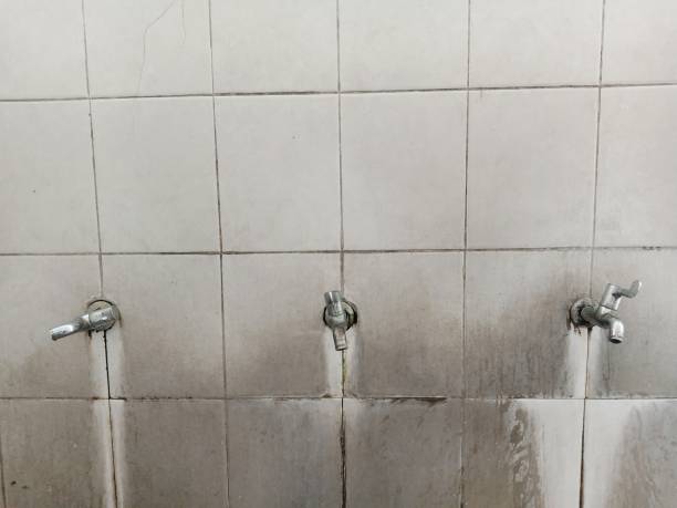 Best Water damage cleanup near me  in Livingston, CA