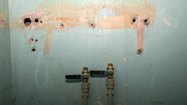 Best Water damage restoration near me  in Livingston, CA