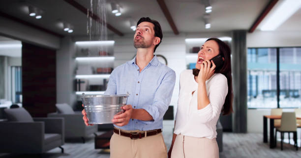 Best Water damage restoration mold remediation  in Livingston, CA