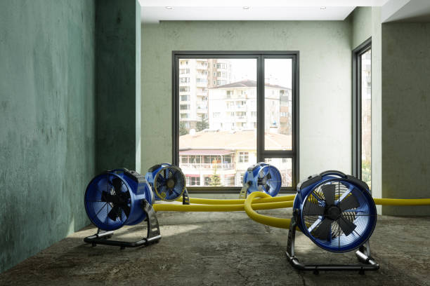 Best Water damage restoration company  in Livingston, CA